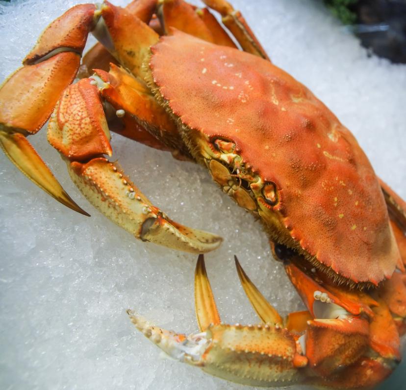 Fresh Crab $14.99/lb - Limited Time