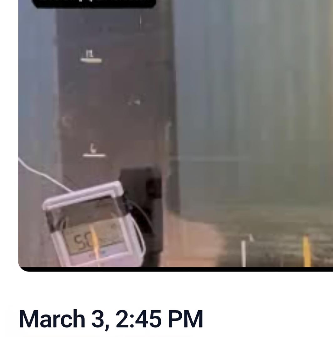 Watch for Spring Chinook at Winchester Dam