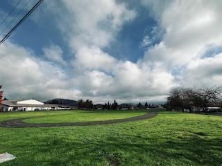 TRACK AND RECENT SCHOOL      FUNDRAISING HISTORY