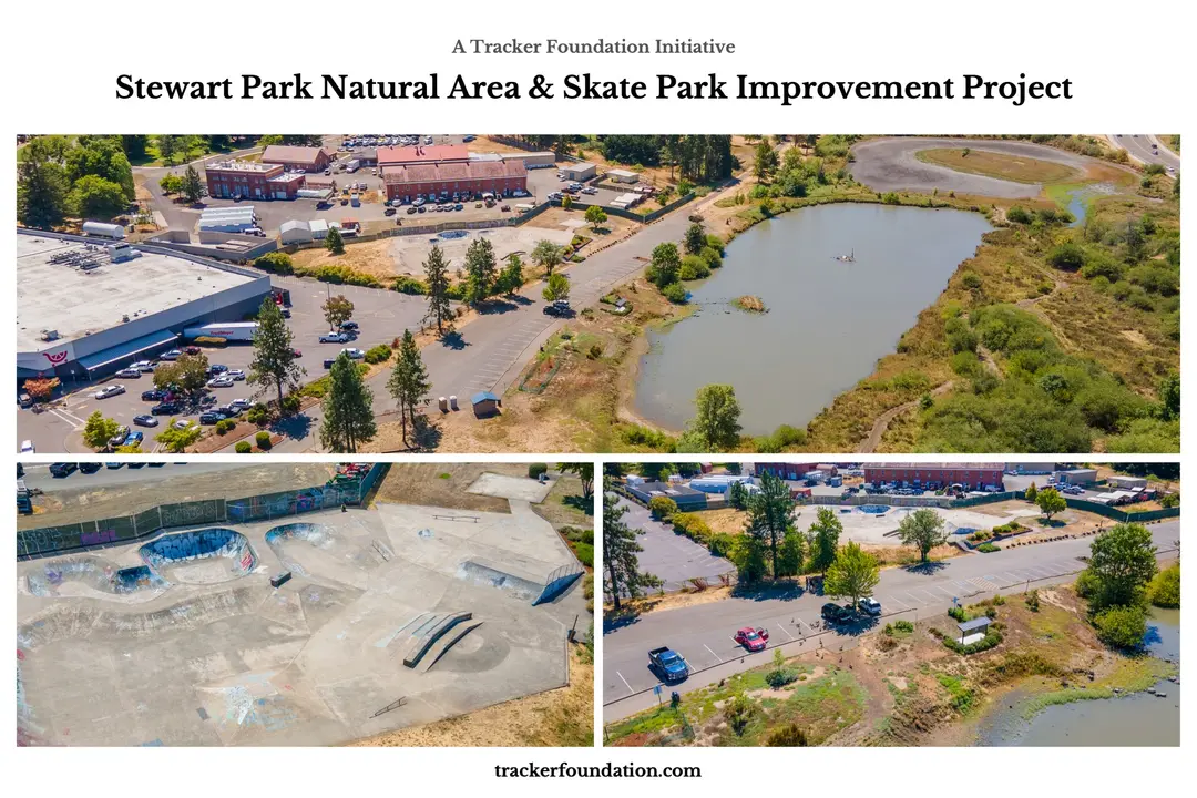 Stewart Park Natural Area & Skate Park Improvement Project Work Day Sept 16