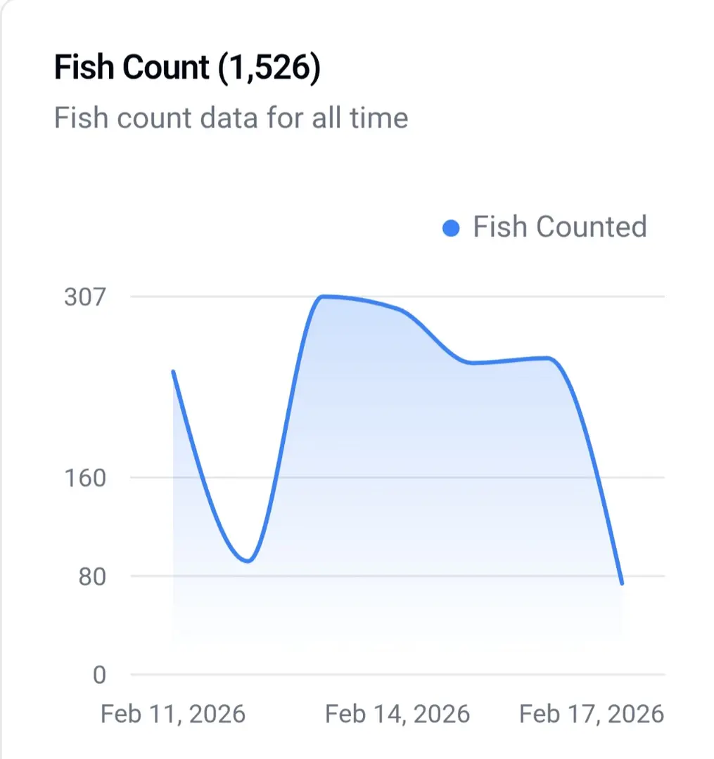 Mid-Season Steelhead Count Tops 5000