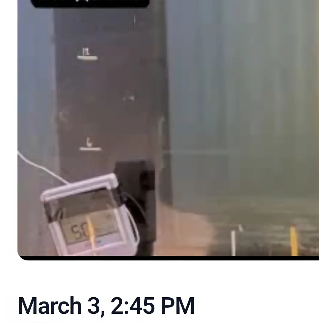 Watch for Spring Chinook at Winchester Dam