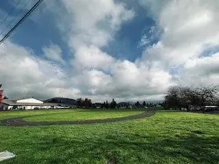 TRACK AND RECENT SCHOOL      FUNDRAISING HISTORY