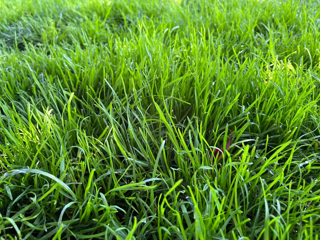 The Importance of Starting Each Day Well