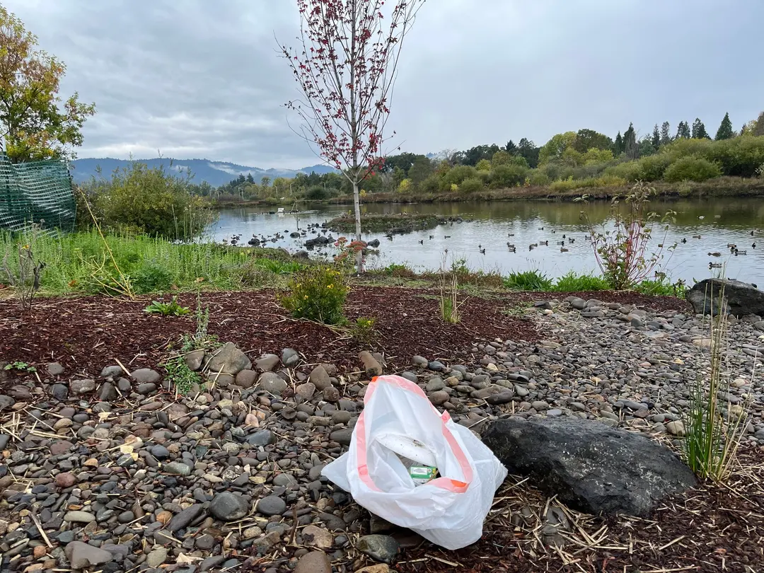 Looking for weekly volunteers to pick up litter at the ponds in Stewart Park