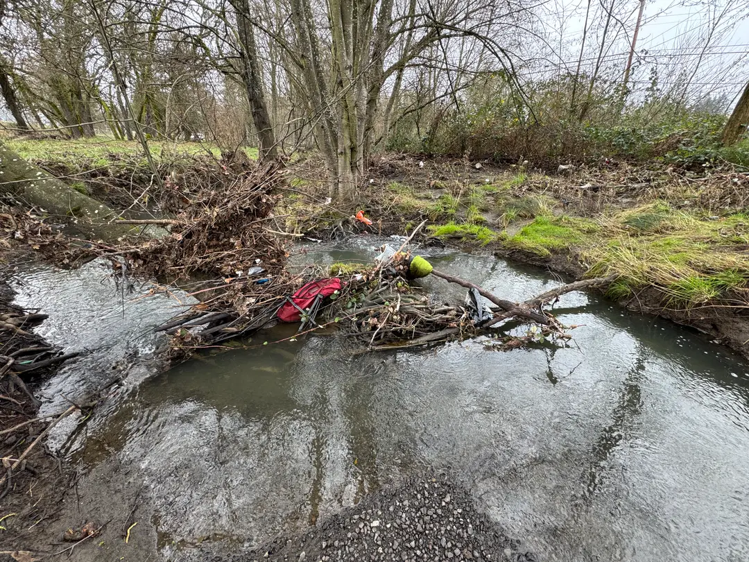 Stewart Park Natural Area Cleanup Effort on January 20th
