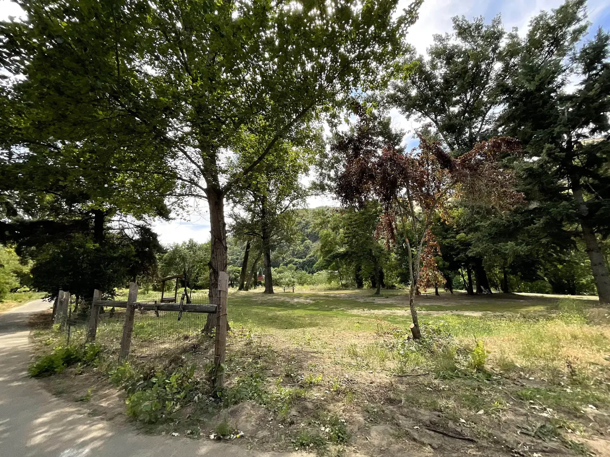 Roseburg's Happy Tails Dog Park to Get New Fencing, Reopen