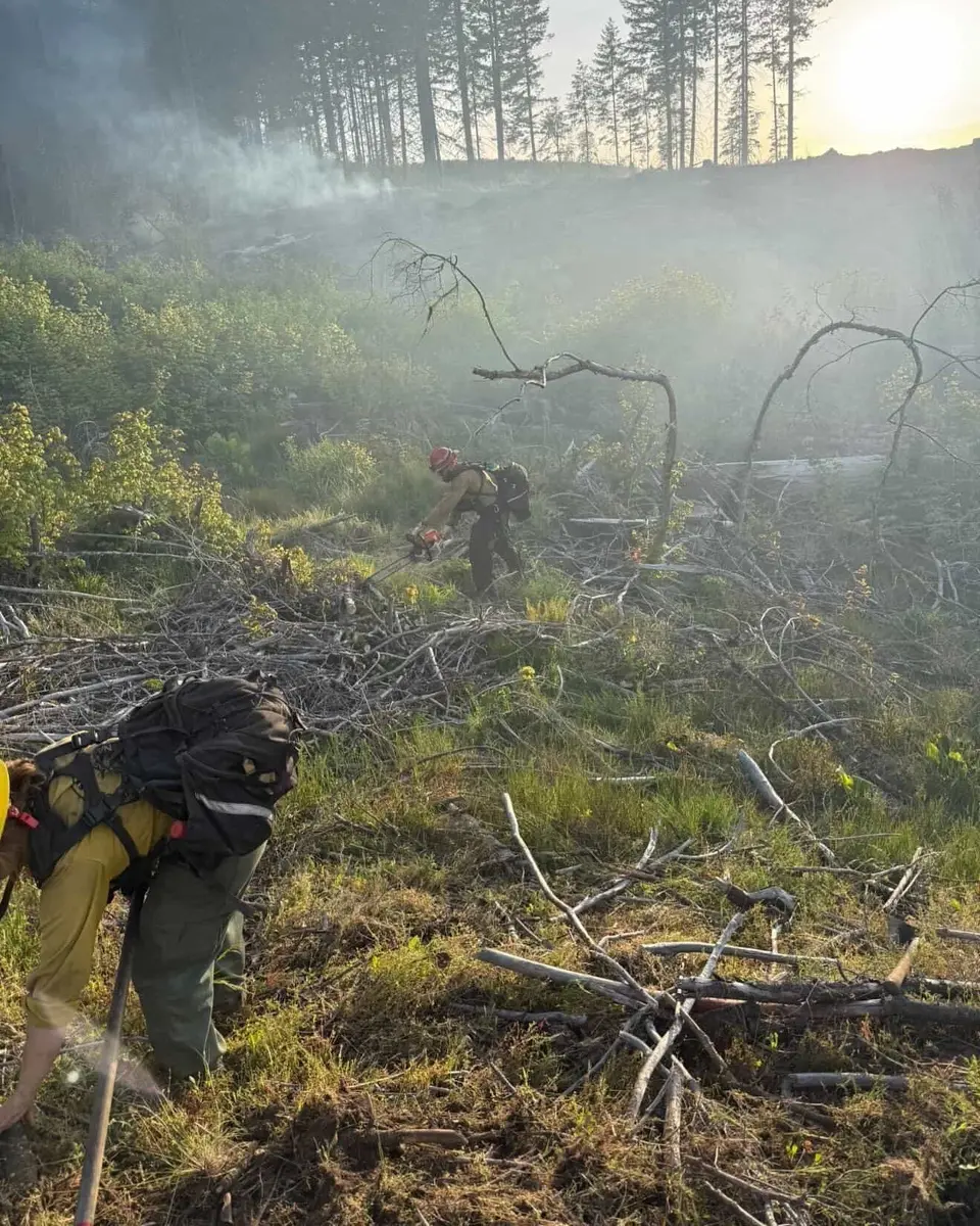Two-Acre Wildfire Near Tiller Contained as DFPA Urges Caution Ahead of Memorial Day
