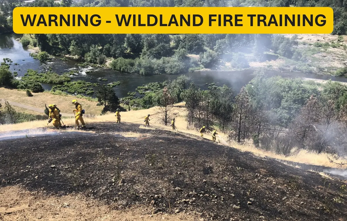 Roseburg Fire Department Plans Wildland Fire Training on Reservoir Hill in June