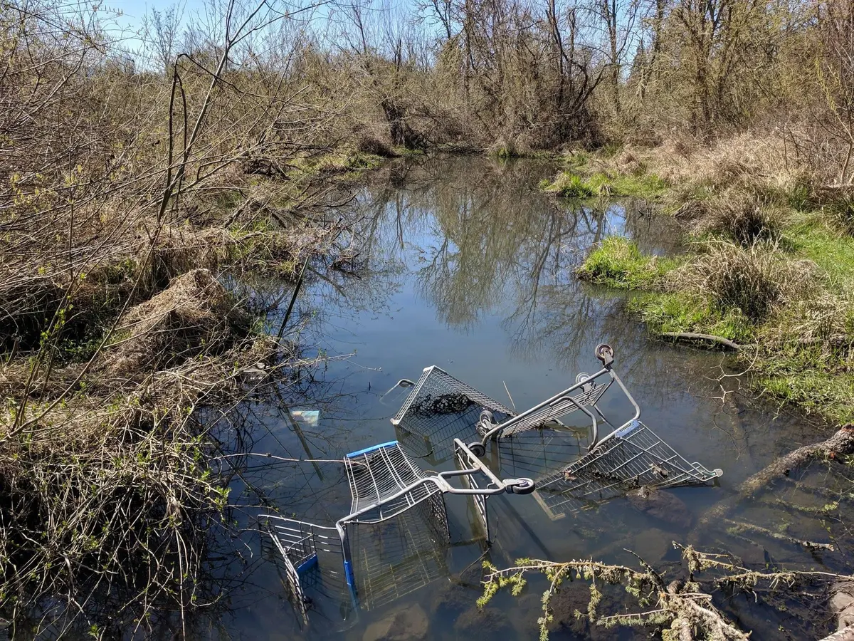 Roseburg Cracks Down on Shopping Cart Theft Epidemic