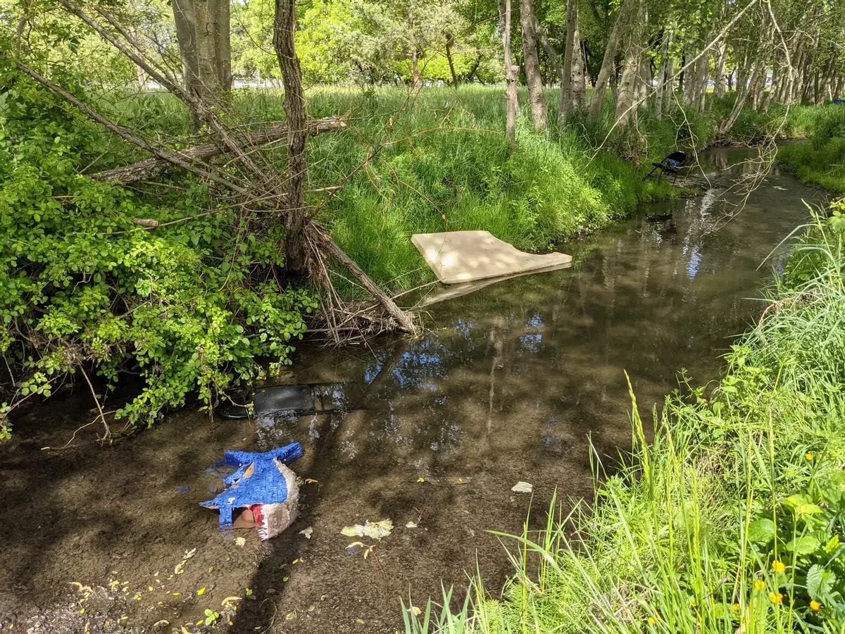 Stewart Park Natural Area and Creek Cleanup 