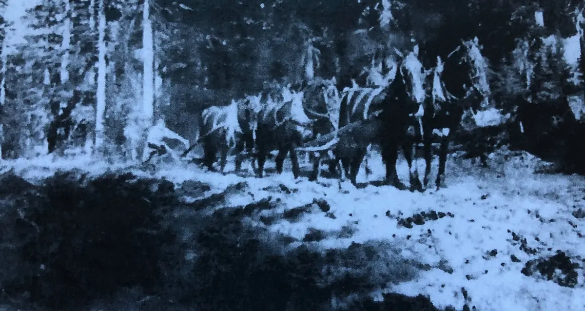 Crater Lake Marks the 135th Anniversary of the Cleetwood