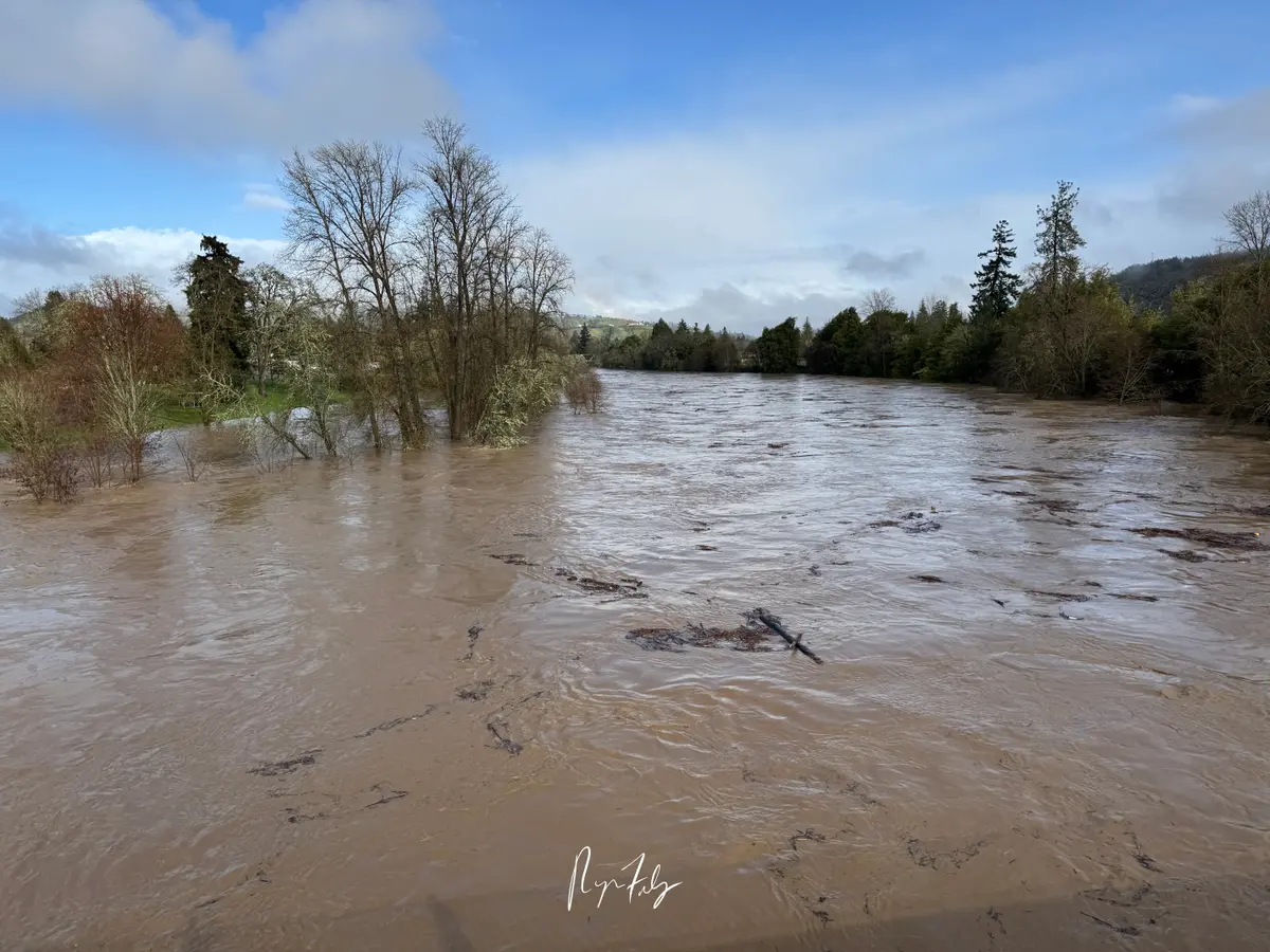 South Umpqua River Hits 29.04 Feet, Highest Since 1983