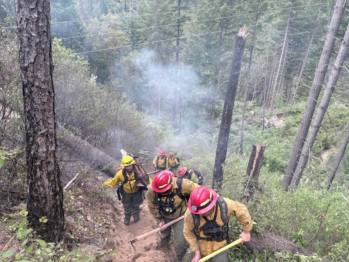 Springer Creek and Boulder Fires Near Cavitt Creek Road Now Controlled and Contained