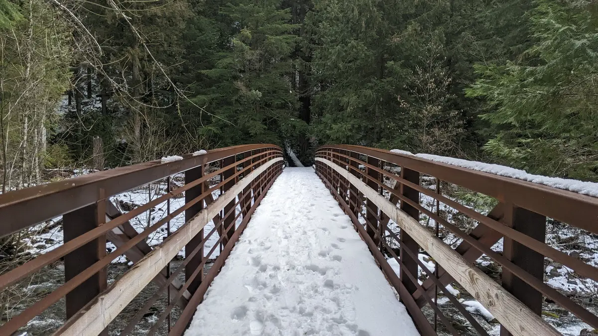 Get Out This Week, Feb. 24-March 2