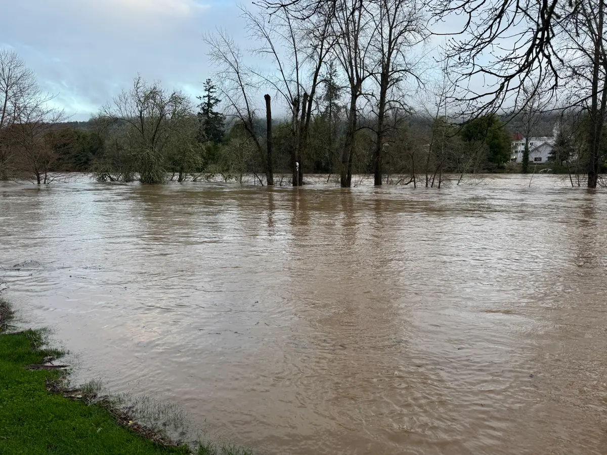 South Umpqua River Reaches Highest Level Since 1996