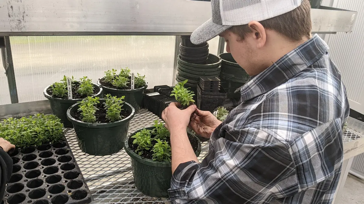 Roseburg High Teacher Striving to Bring Agriculture Science Into the Mainstream