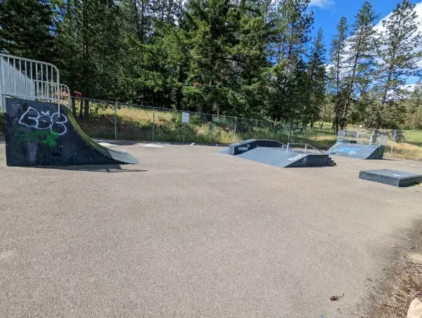 Sutherlin Skate Park Cleanup on Wednesday