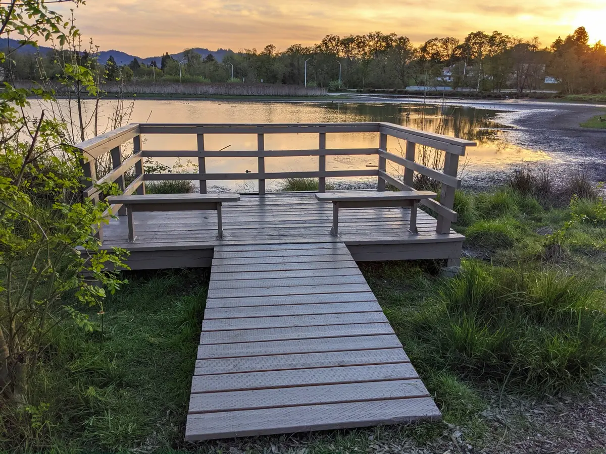 Bird Observation Deck Repainted in Stewart Park 