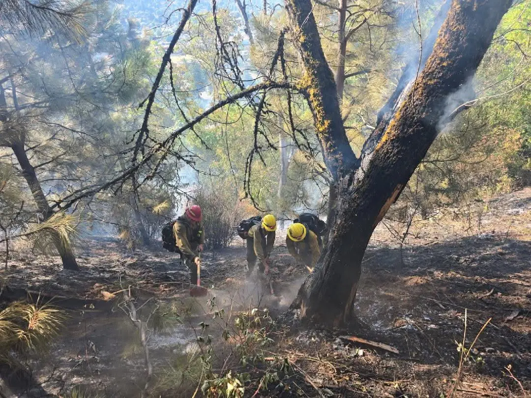 Milepost 124 Fire Contained in Roseburg — Roseburg Tracker