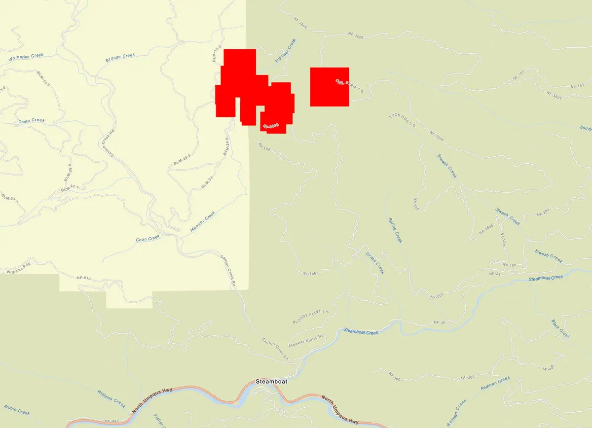 Lightning Starts 13 New Fires in the Umpqua District — Roseburg Tracker