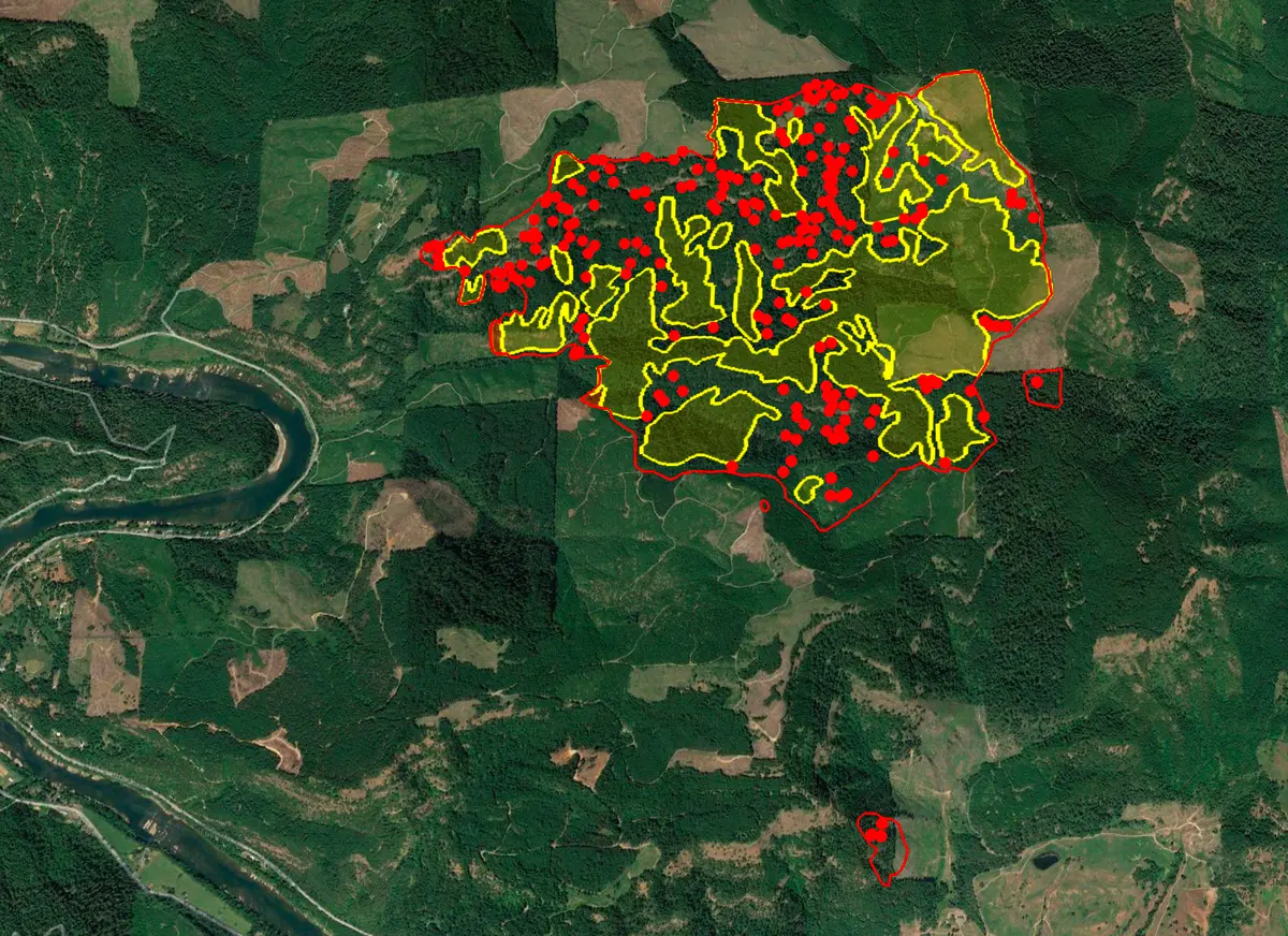 Containment of Tyee Ridge Complex Grows to 21%, No Structures Lost ...
