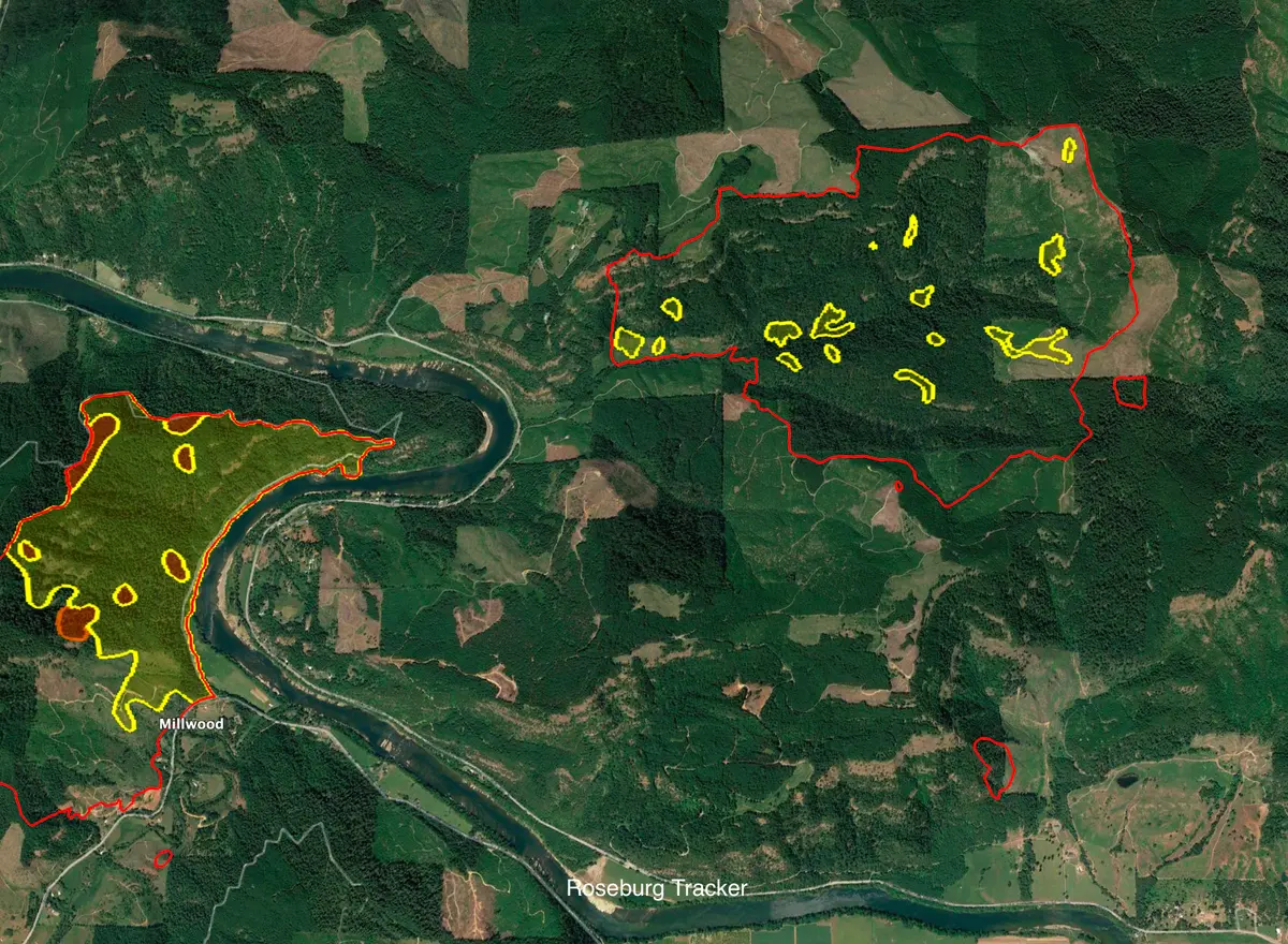 Containment of Tyee Ridge Complex Increases to 48%, Mop Up Work ...