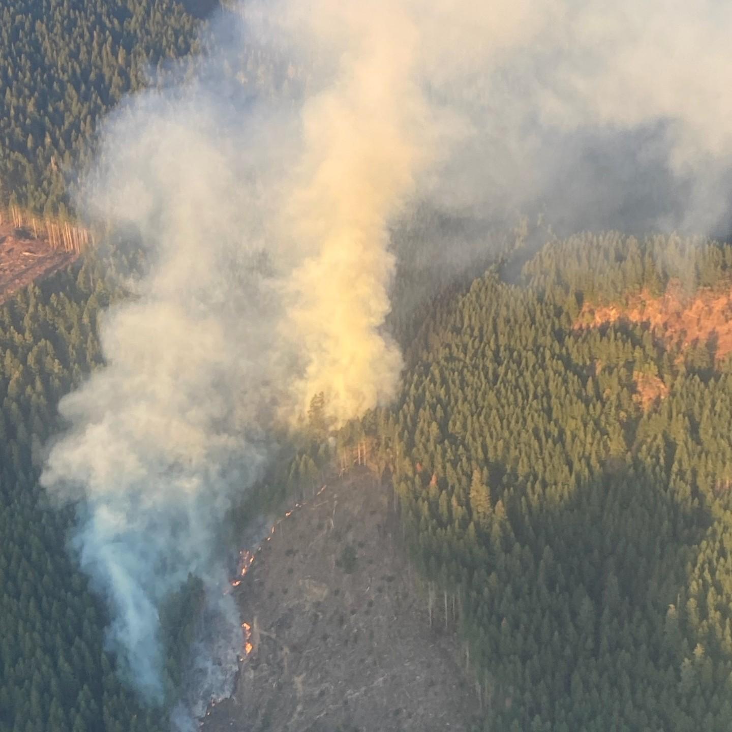 Three Fires Started Monday — Roseburg Tracker
