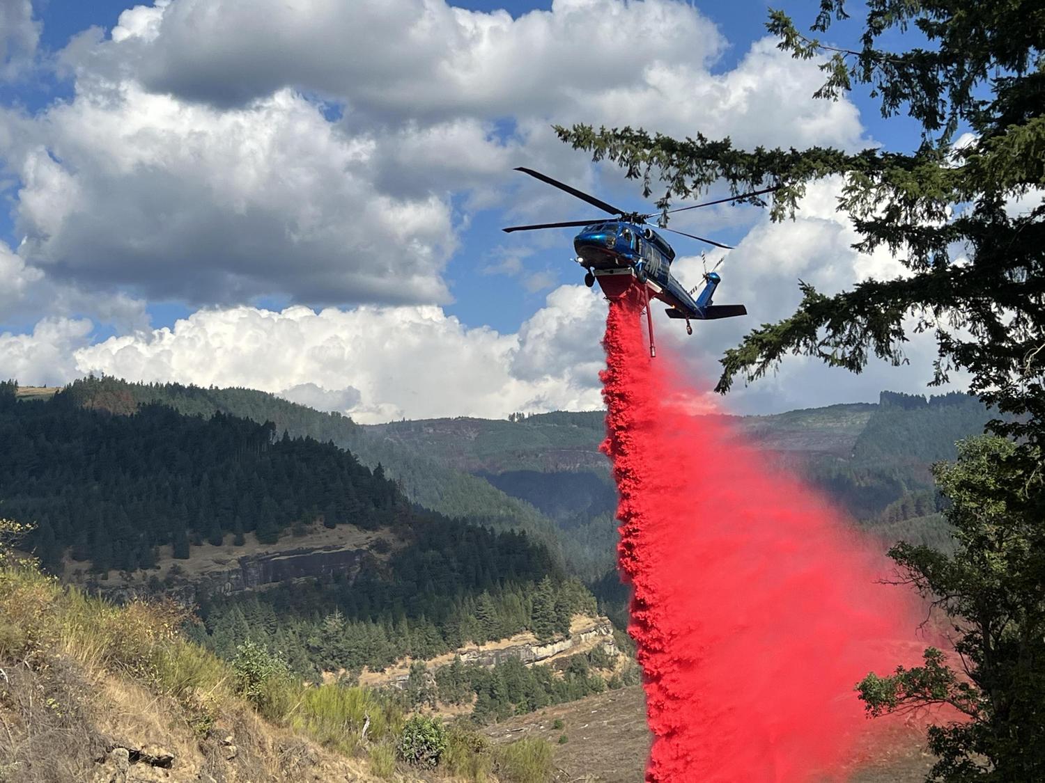 Containment of Tyee Ridge Complex Increases to 48%, Mop Up Work ...