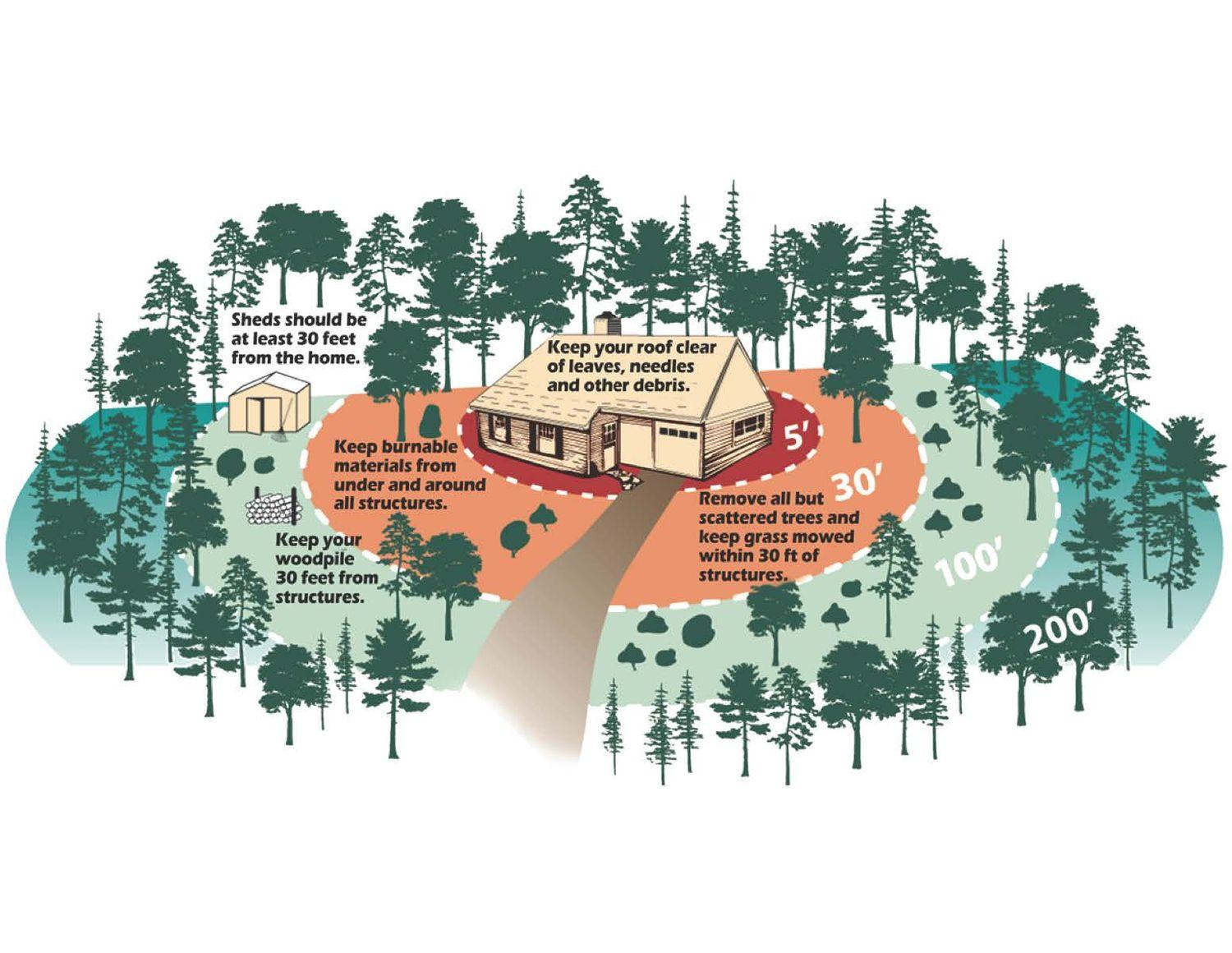 Umpqua National Forest Shares Reminder About Defensible Space ...