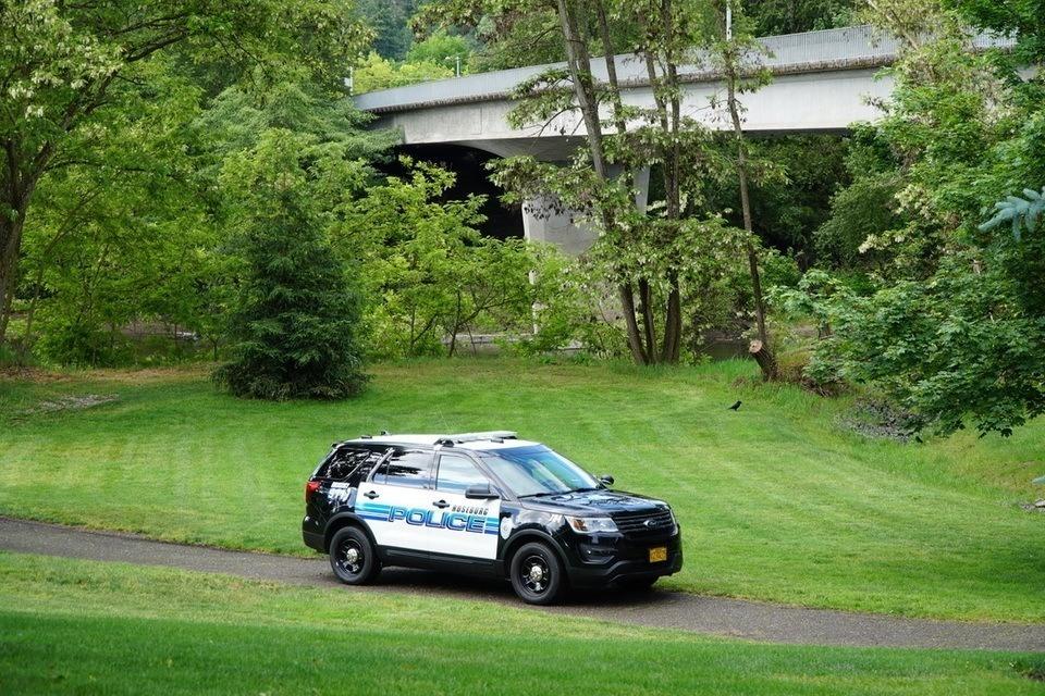 Roseburg Police Logs for 1/17 to 1/23/2020 — Roseburg Tracker