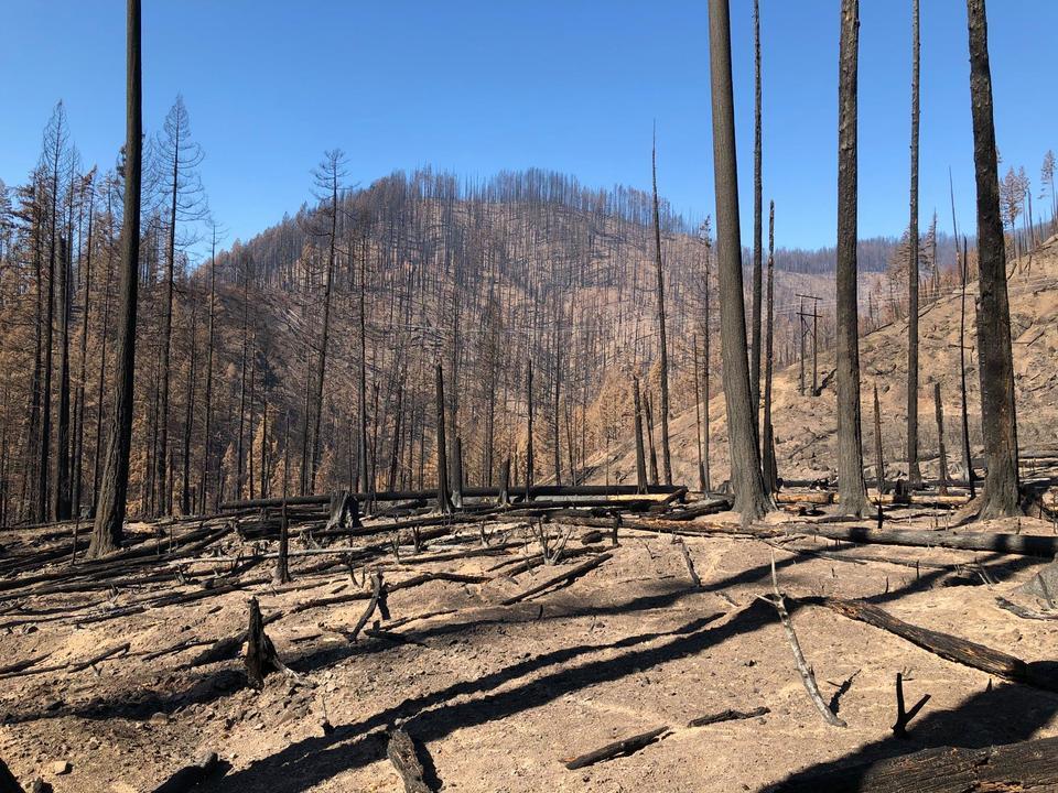 Soil Burn Severity Report for Archie Creek Fire — Roseburg Tracker