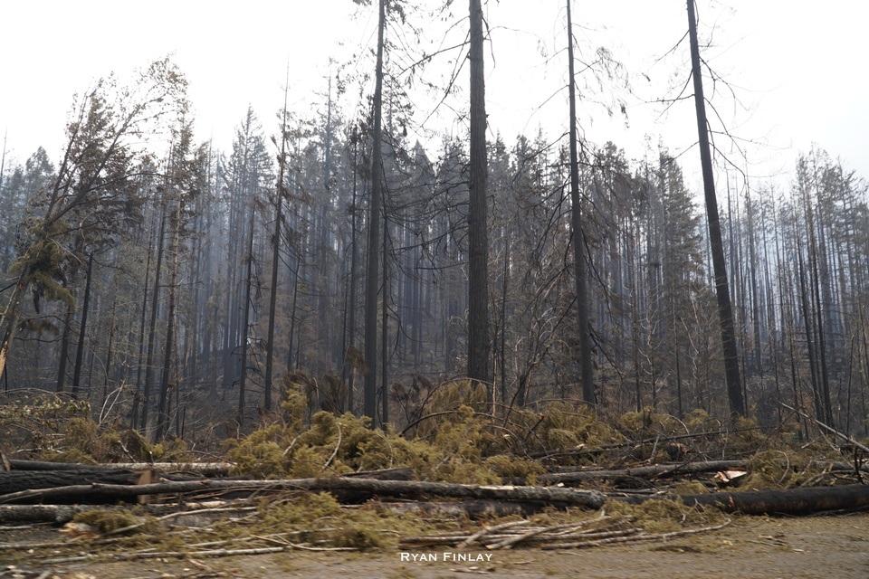 Archie Creek Fire Update for Monday, Sept 21 - 131,598 Acres and 41% ...