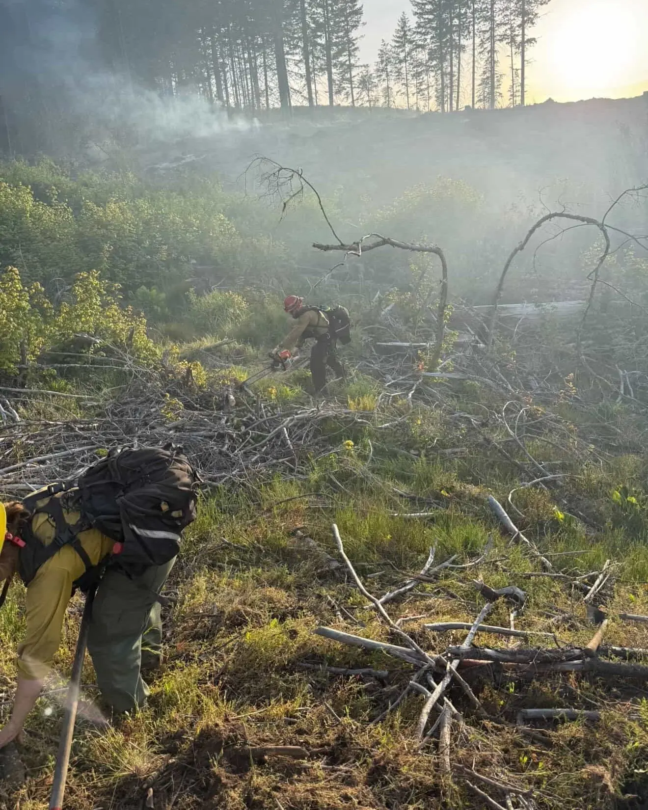 Two-Acre Wildfire Near Tiller Contained as DFPA Urges Caution Ahead of Memorial Day