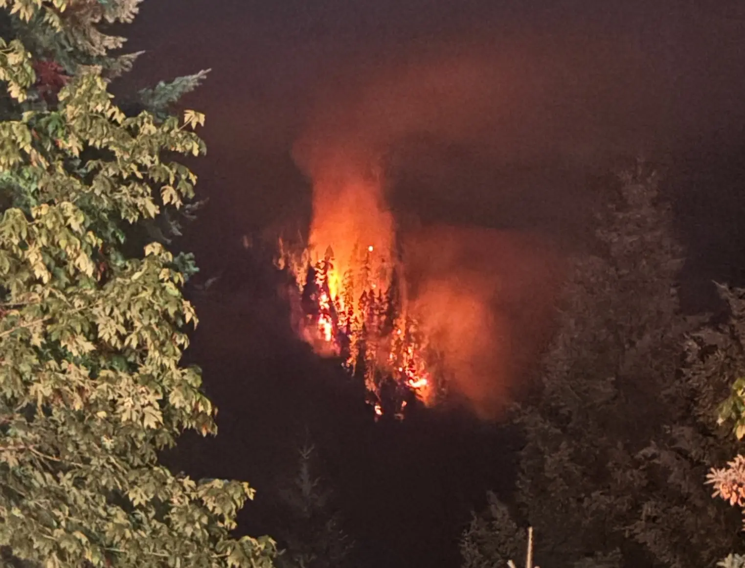 Morning Update: 5 Fires Confirmed in Douglas District as of July 17