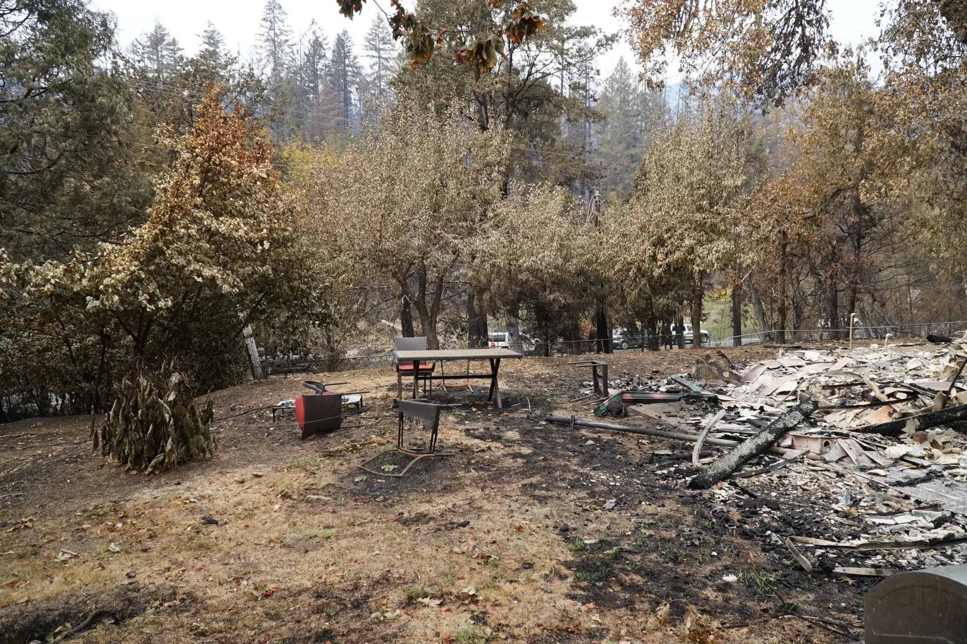 Glide Revitalization Seeking Volunteers to Help With Archie Creek Fire Recovery