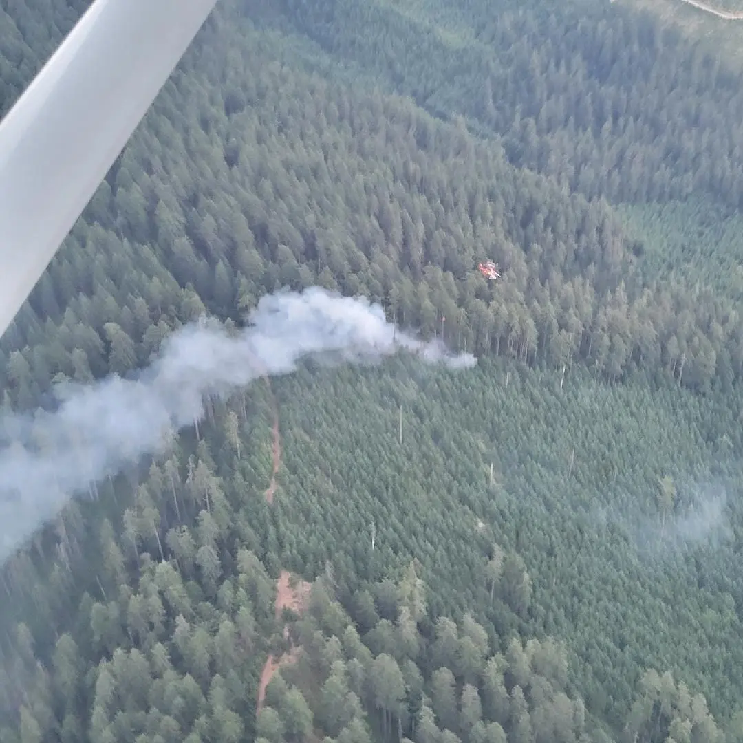 Several Fires Detected in Douglas District After Lightning Strikes ...