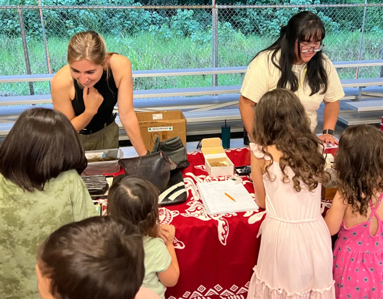 Fostering Prepared Youths on the Natural Hazards of Backyard Volcanoes ...