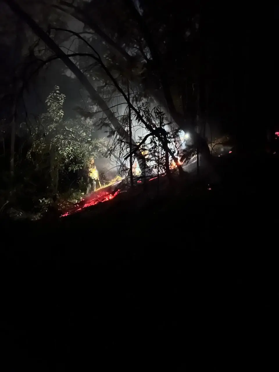 Lightning Storm Starts Multiple Fires in Douglas County — Roseburg Tracker