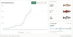 Winter Steelhead Run on the North Umpqua Surpasses Last Year's Total