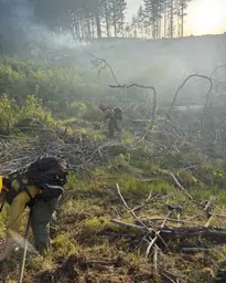 Two-Acre Wildfire Near Tiller Contained as DFPA Urges Caution Ahead of Memorial Day