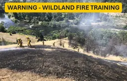 Roseburg Fire Department Plans Wildland Fire Training on Reservoir Hill in June
