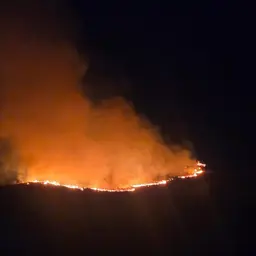 KENT CREEK FIRE. 5.6 MILES SOUTHWEST OF WINSTON, OR