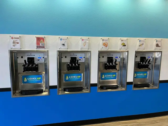 Level Up Frozen Yogurt photo 3