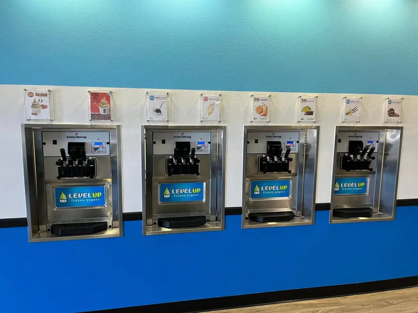 Level Up Frozen Yogurt photo 3